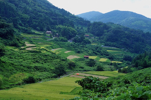 b0131167_1734933.jpg