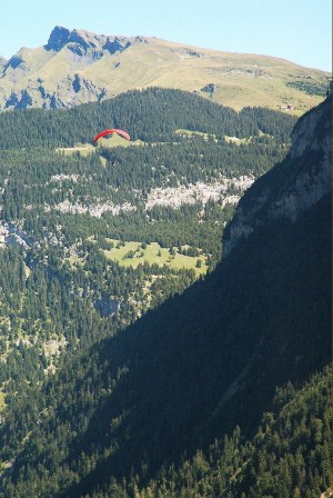 b0167367_2392464.jpg