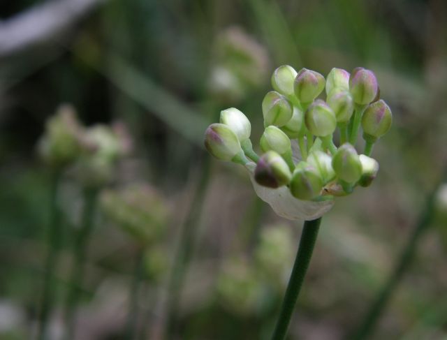 c0042869_20303672.jpg