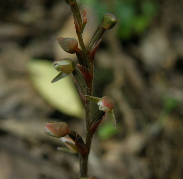 c0042869_20421658.jpg