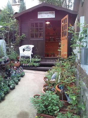 f0161669_1653416.jpg