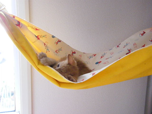 e0003270_15202963.jpg