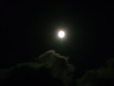 e0097770_22245982.jpg