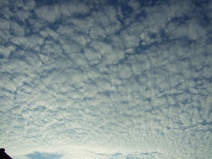 c0072572_6413732.jpg