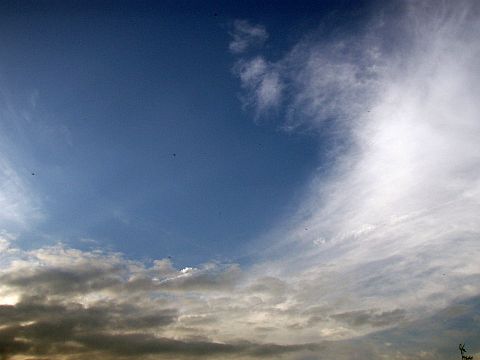f0047773_21445481.jpg