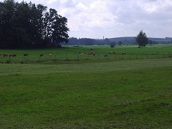 a0142083_21301583.jpg