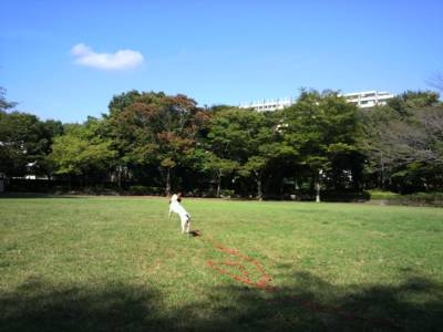 a0105289_21193297.jpg