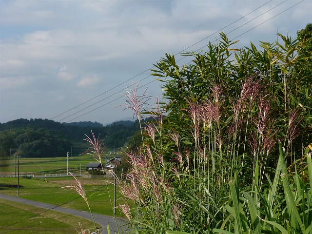 c0165589_14101498.jpg