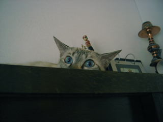 c0207189_0145066.jpg