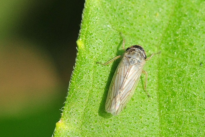 b0123591_9591610.jpg