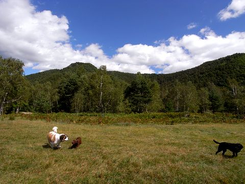 a0093592_21265177.jpg