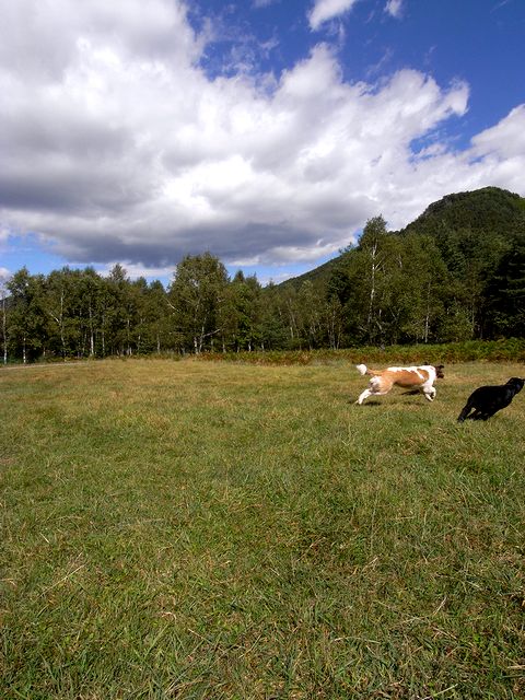 a0093592_21283587.jpg