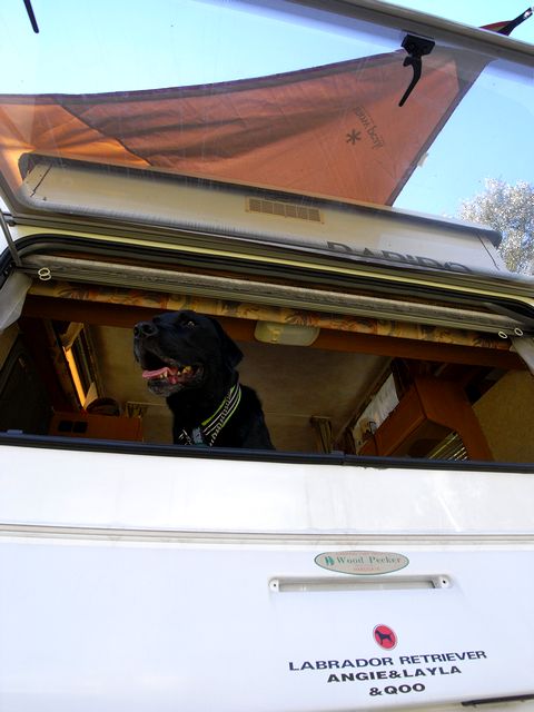 a0093592_2171126.jpg