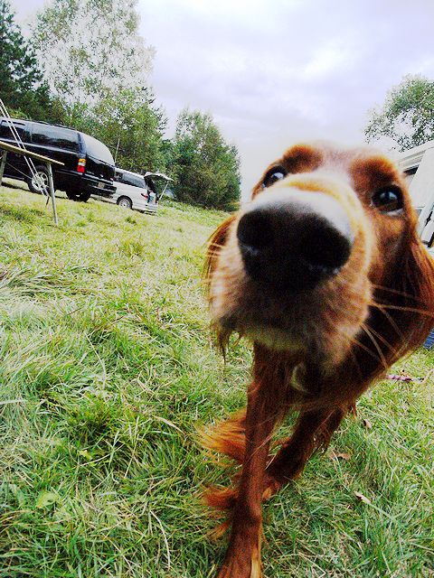 a0093592_2545157.jpg