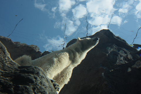 b0104592_135049.jpg