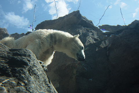 b0104592_13579.jpg