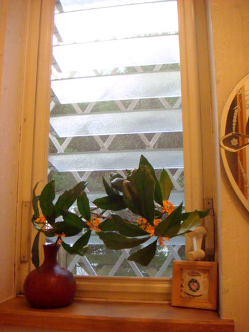 f0137694_19234352.jpg