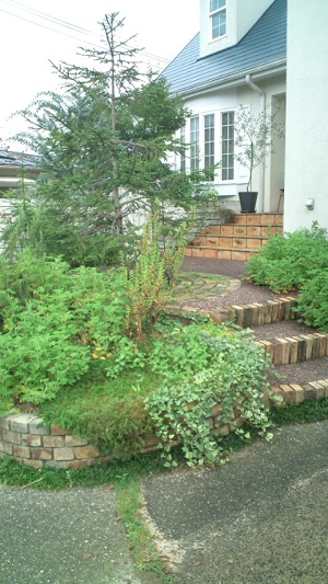 b0207995_2031972.jpg