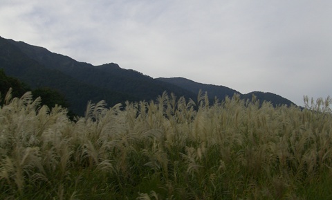 a0138198_13514991.jpg