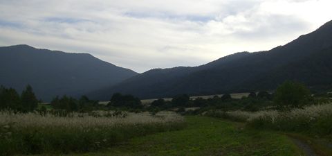 a0138198_1425271.jpg