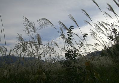 a0138198_14463028.jpg