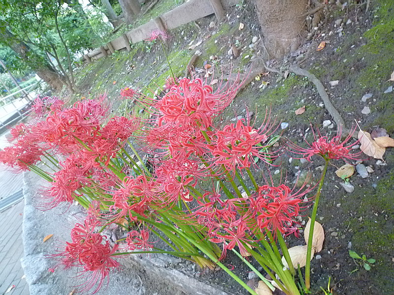 c0138198_23181533.jpg