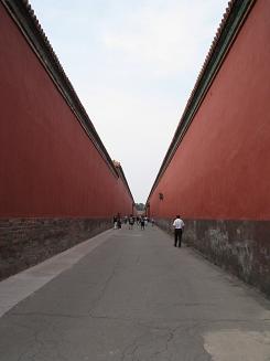 b0021101_23163137.jpg
