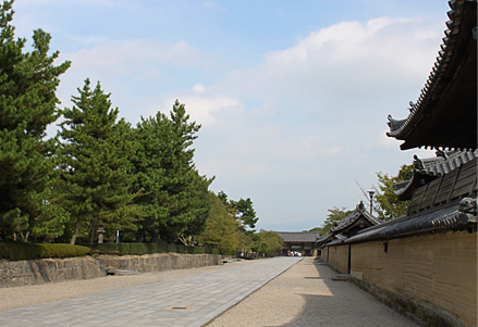 c0055305_13315555.jpg