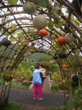 d0067906_21505383.jpg