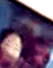 e0103408_18295180.gif
