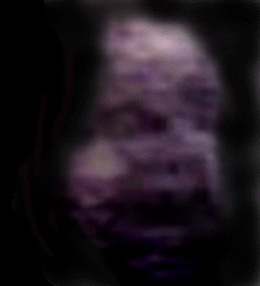 e0103408_1830188.gif