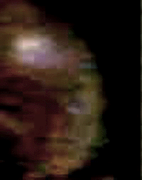 e0103408_838325.gif