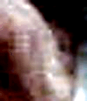 e0103408_850365.gif