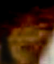 e0103408_851039.gif