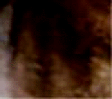 e0103408_8511676.gif