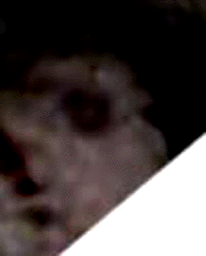 e0103408_8523125.gif