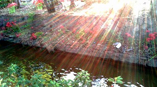 f0096508_21101450.jpg