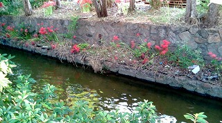 f0096508_21103596.jpg