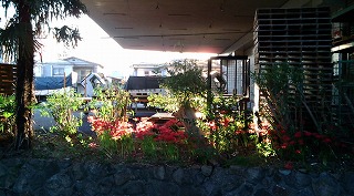 f0096508_2192024.jpg