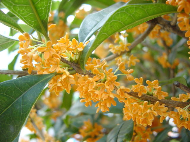 a0152009_274011.jpg