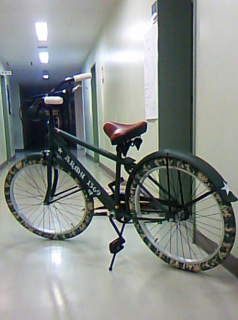 a0139912_15433949.jpg
