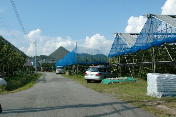 d0179113_21524213.jpg