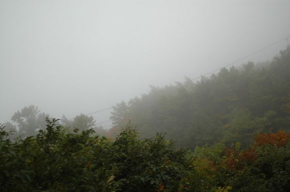 d0179113_22341085.jpg