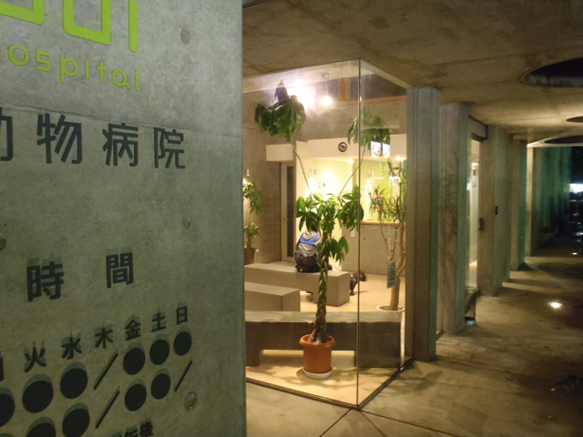 b0143214_21103197.jpg
