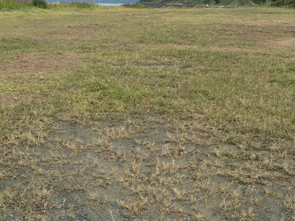 e0002314_2215293.jpg