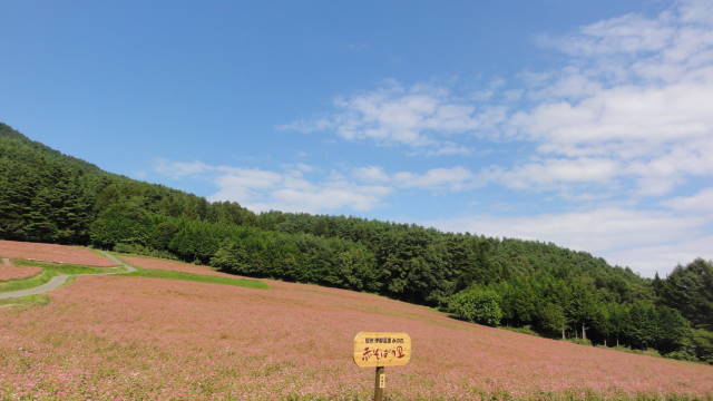 f0233414_2019427.jpg