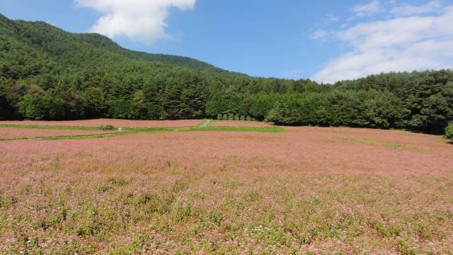 f0233414_20473846.jpg