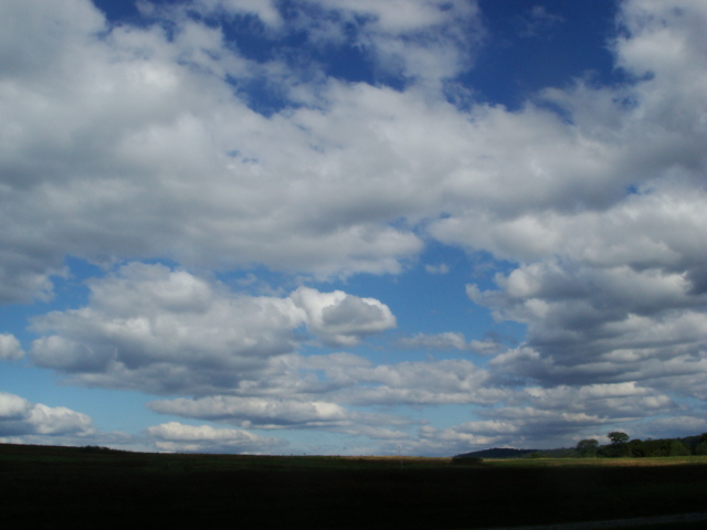 e0147716_4283952.jpg