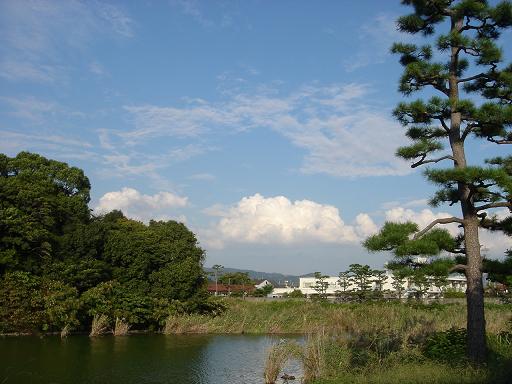 f0000521_3403267.jpg