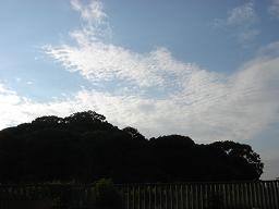 f0000521_3412827.jpg